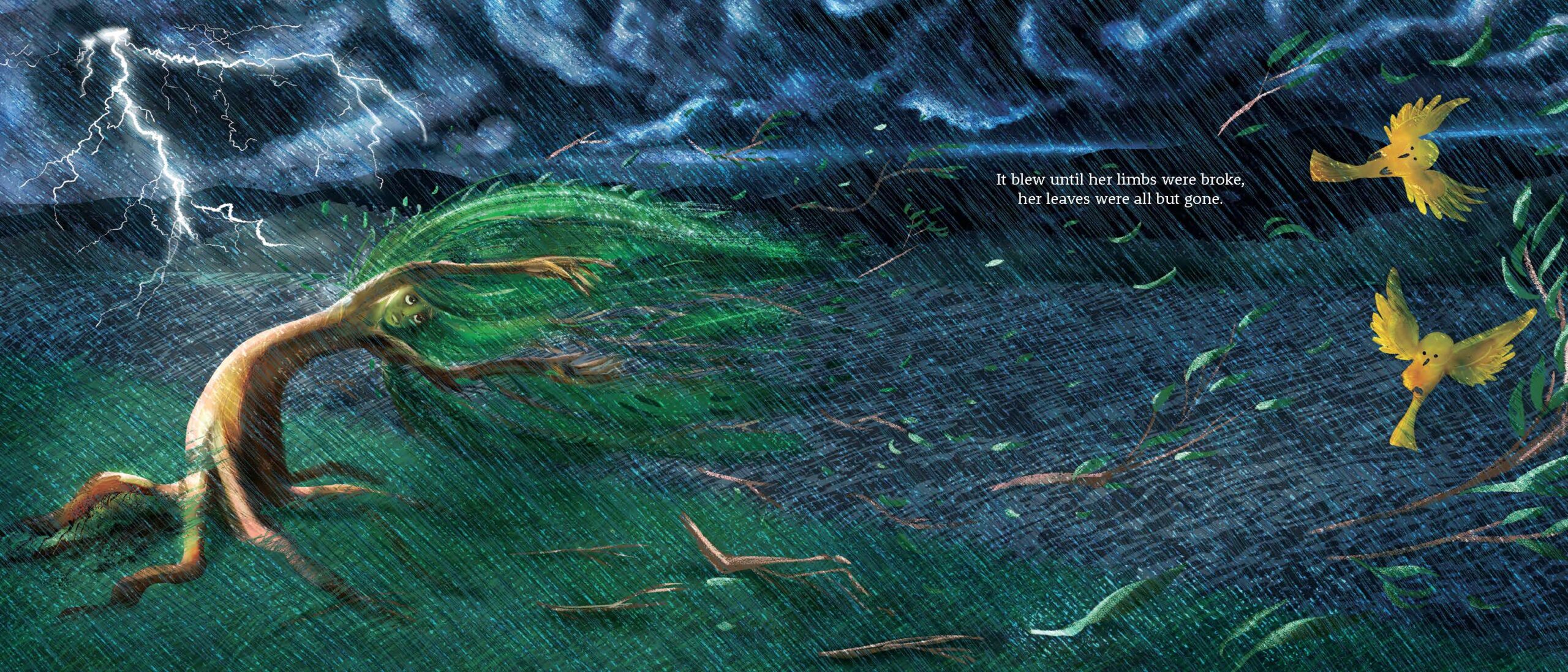 Willow – Interlink Publishing